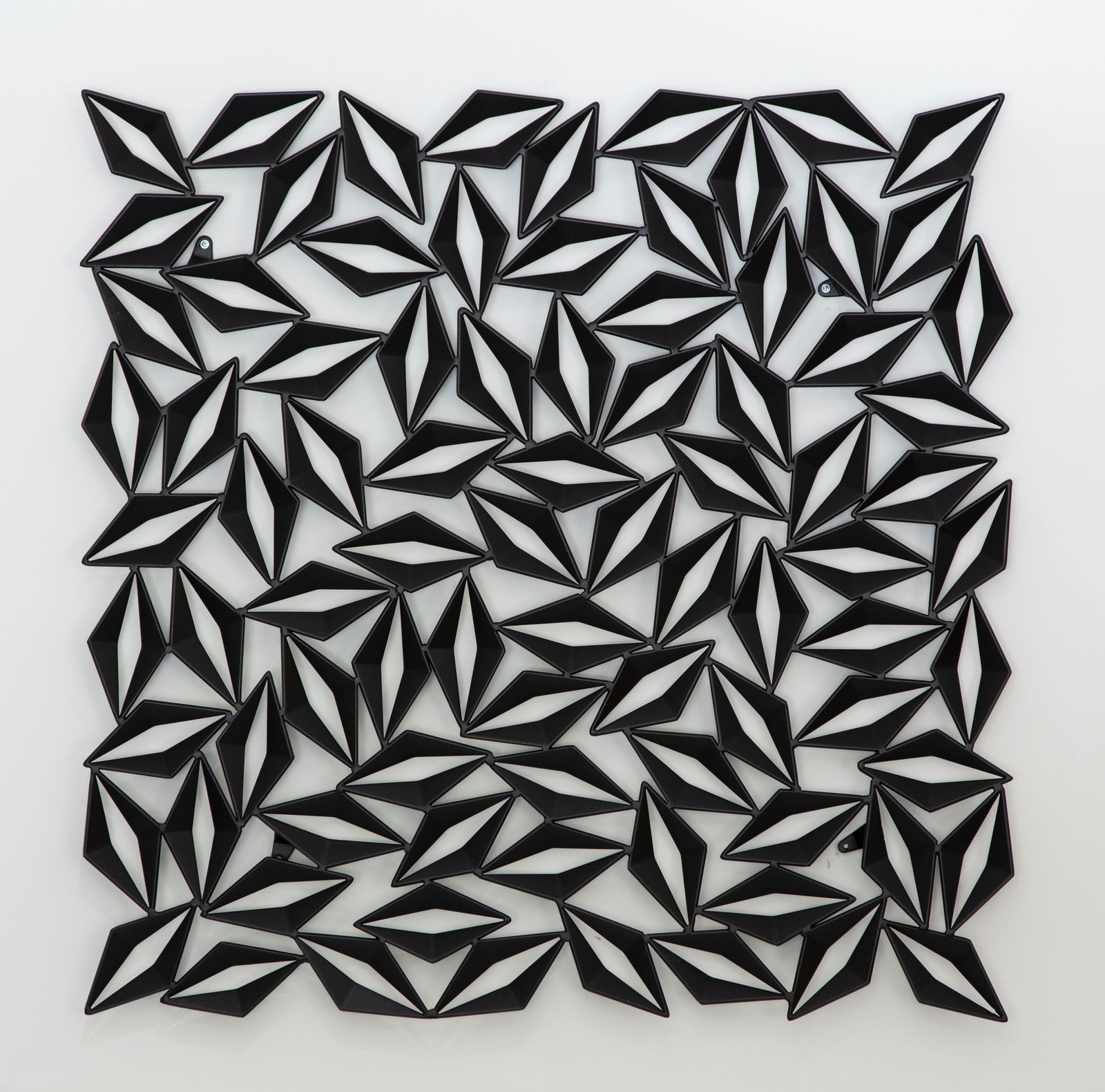 Christopher Puzio, Shark River, 2022