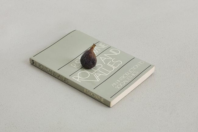 Lina Viste Grønli, Fig on Roles and Values, 2011