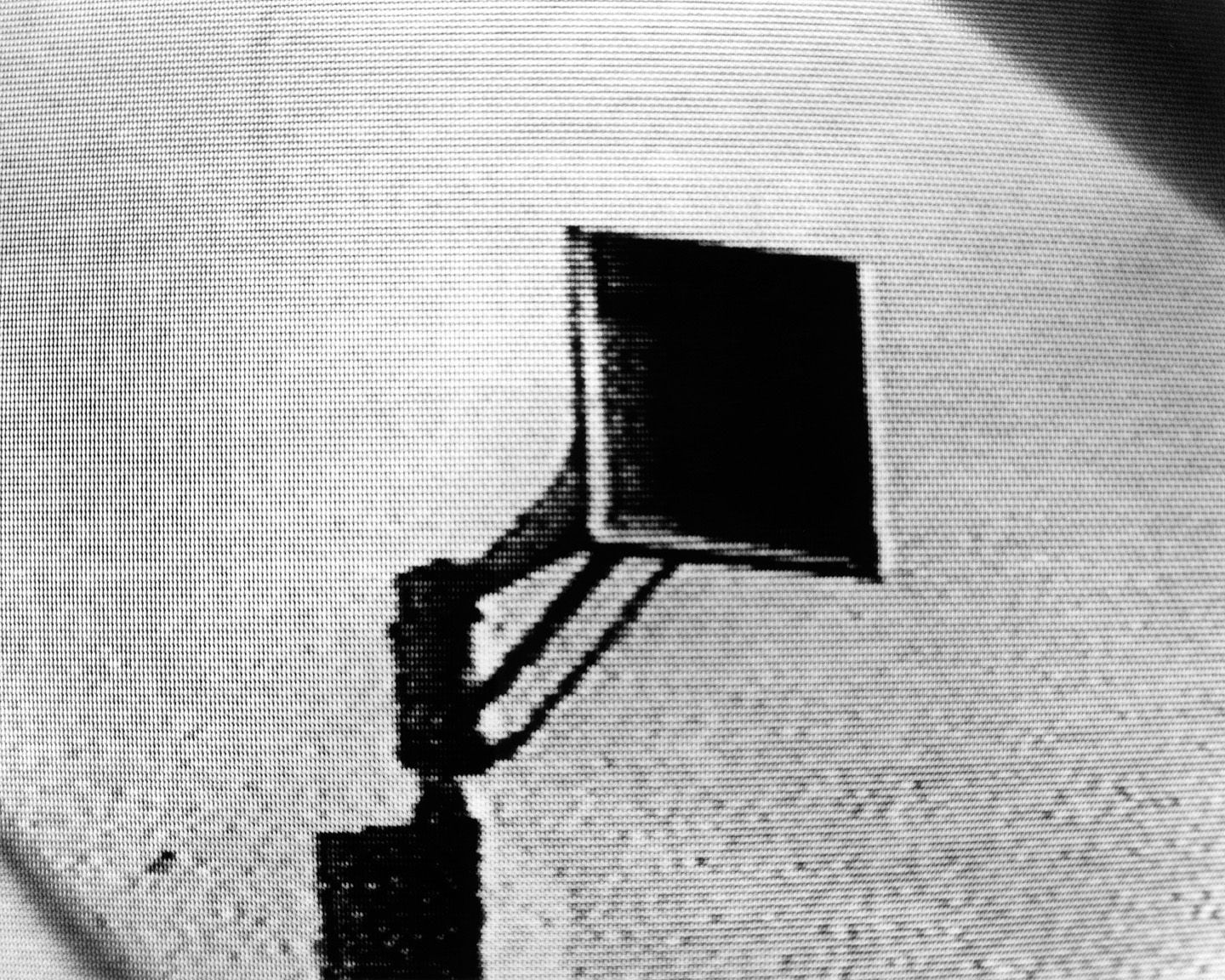 Miranda Lichtenstein, Siren, 1995/2015