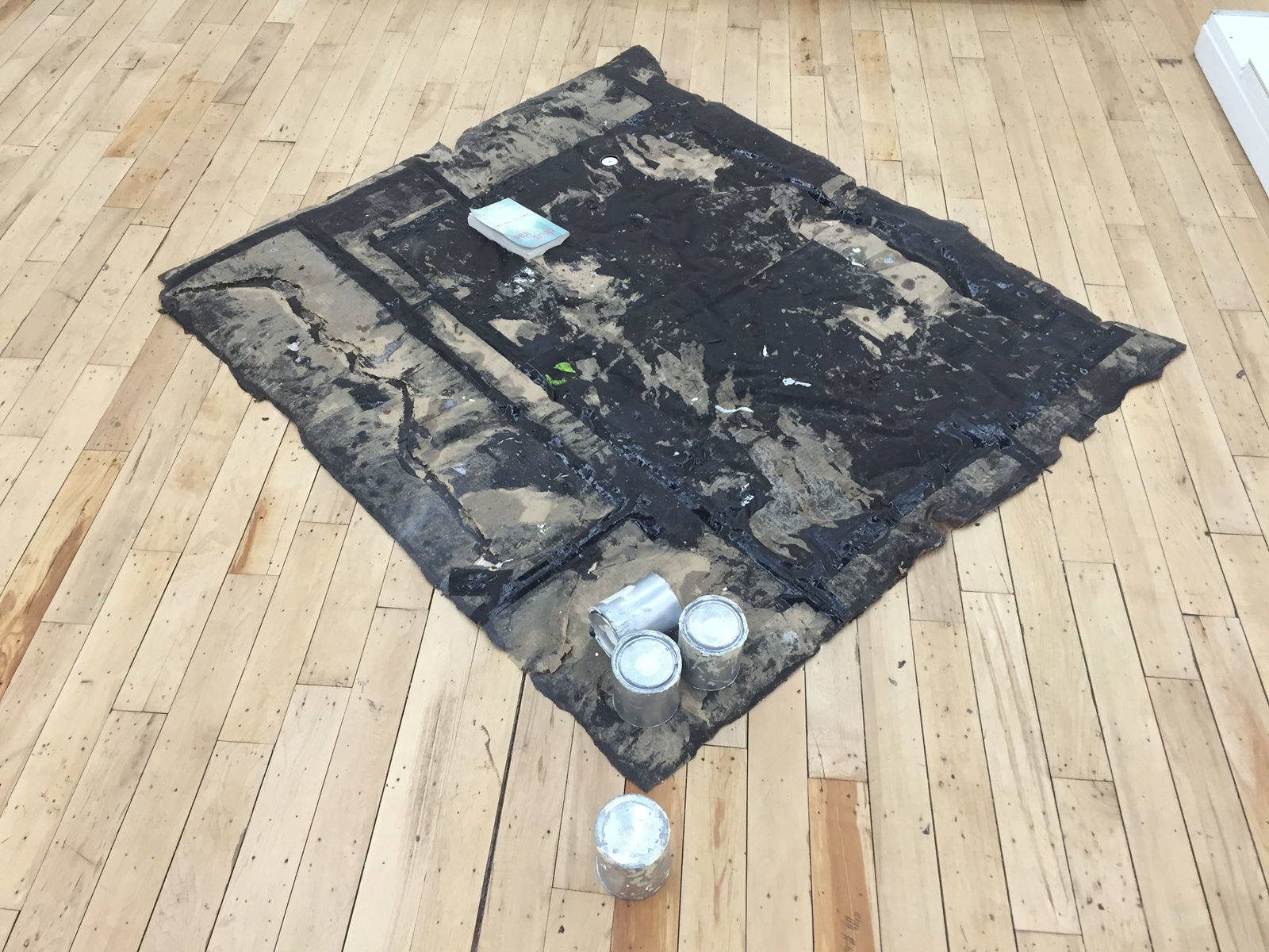 Nikholis Planck, Proctor Silex 1, 2016