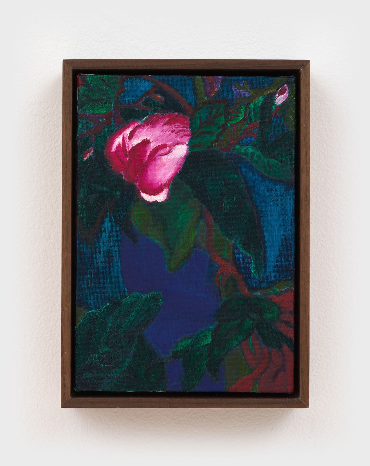 Anna Jung Seo, Tangled love, 2024