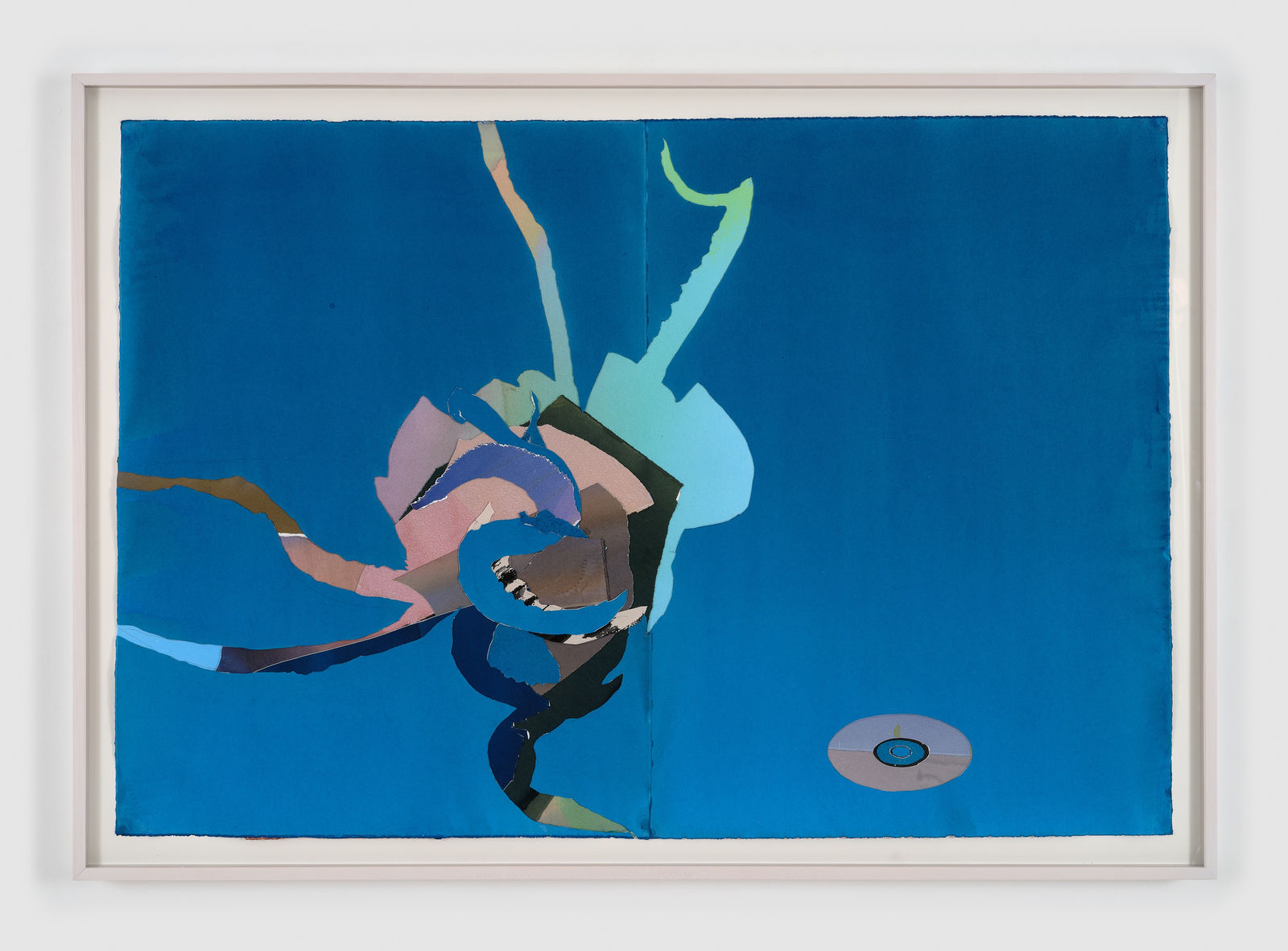 Roger White, cuttlefish cd, 2025