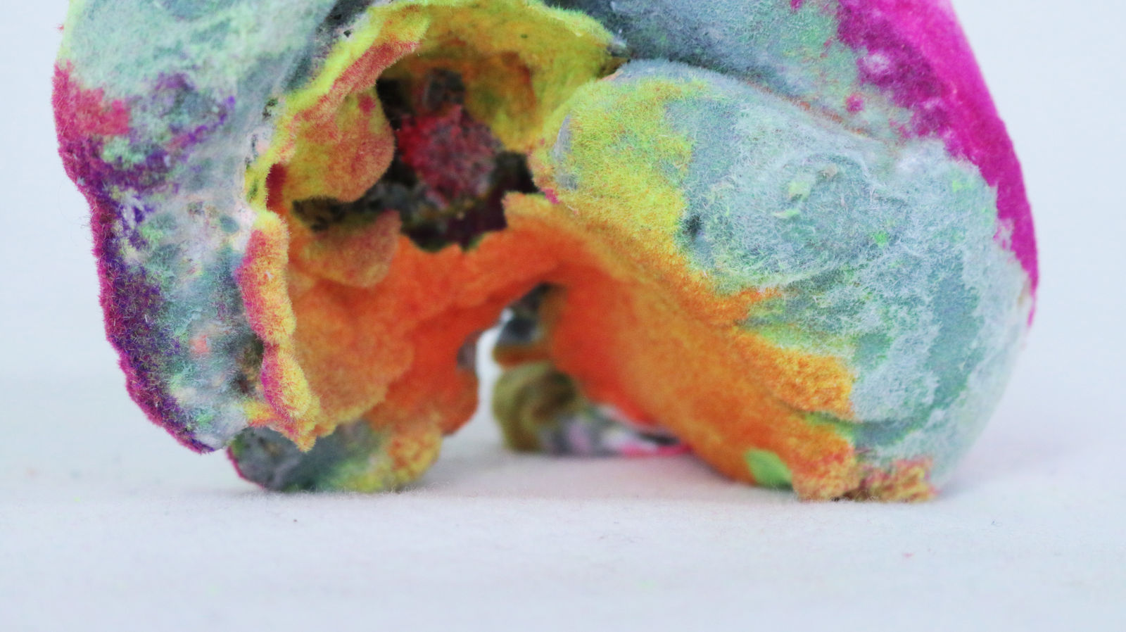 Pedro Matias, Bone Coralia