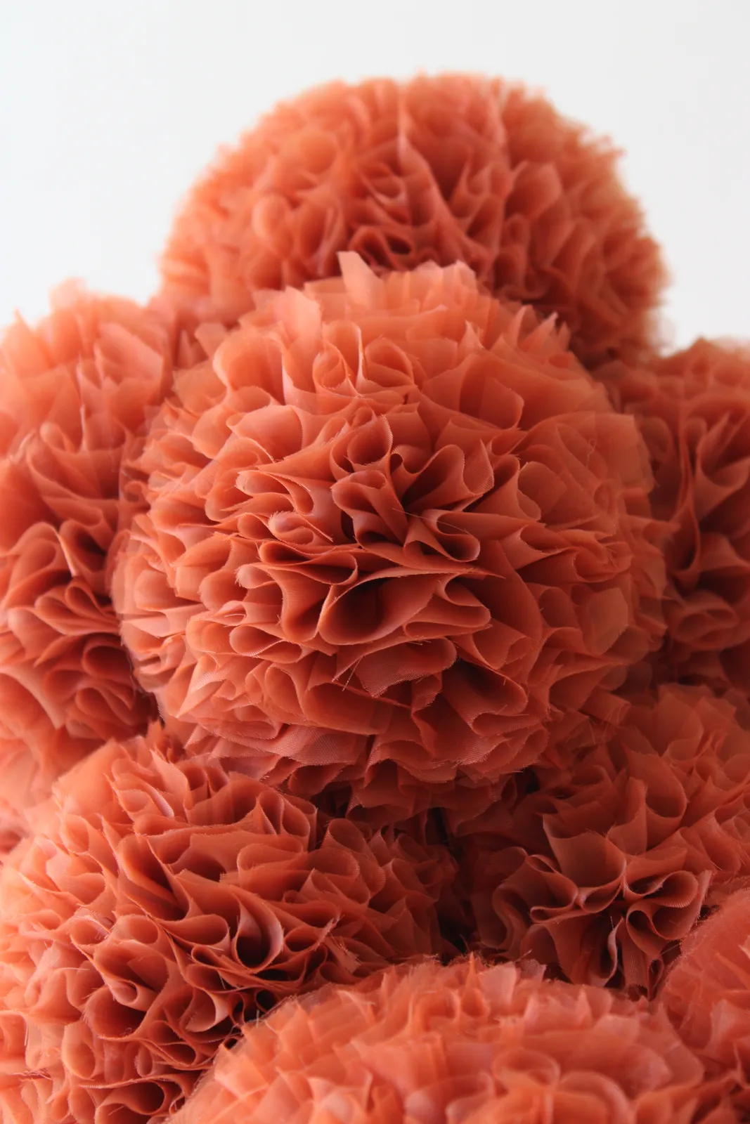 Sofie Aaldering, Pes