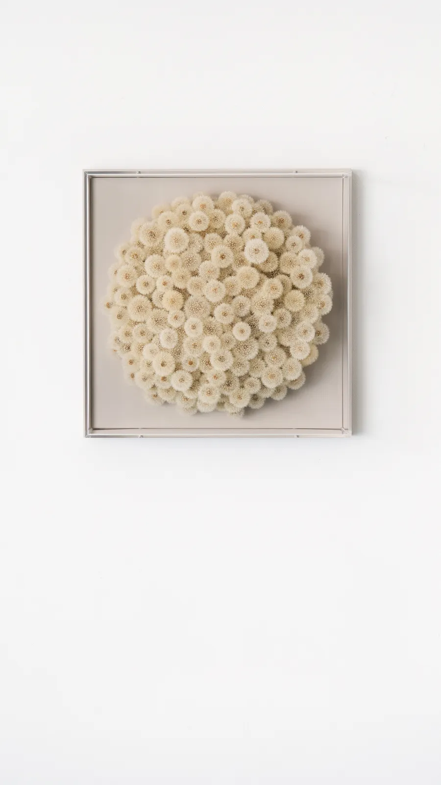 Hilde Trip, Wish full (round)