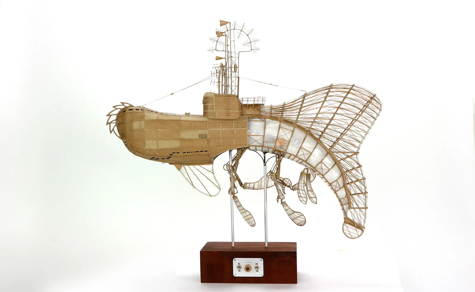 Jeroen van Kesteren, The one that got away