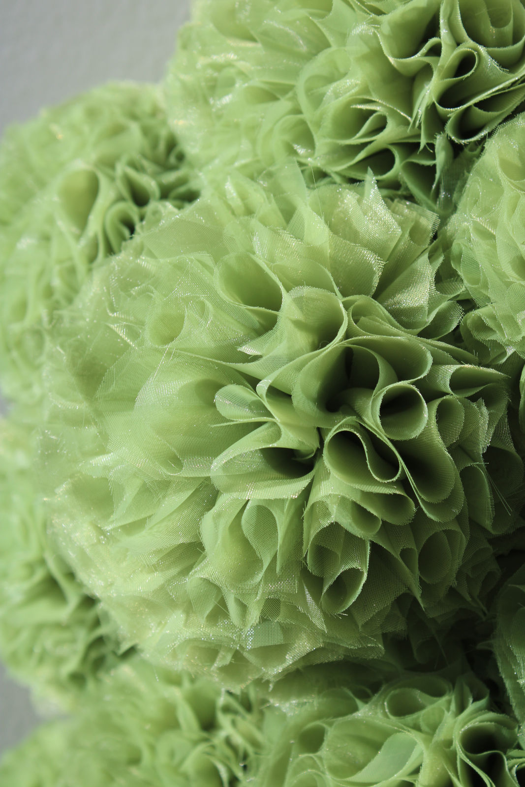 Sofie Aaldering, Spruut