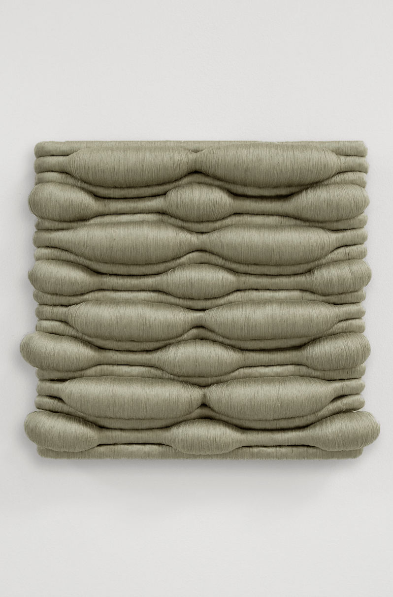 Joana Schneider, Calico