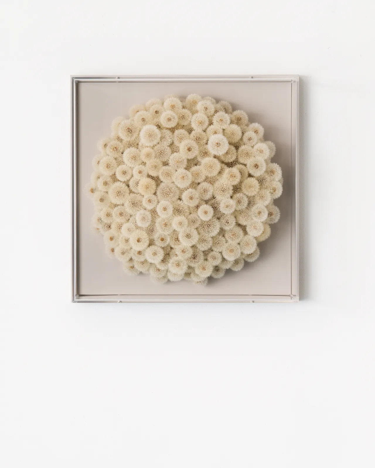 Hilde Trip, Wish full (round)