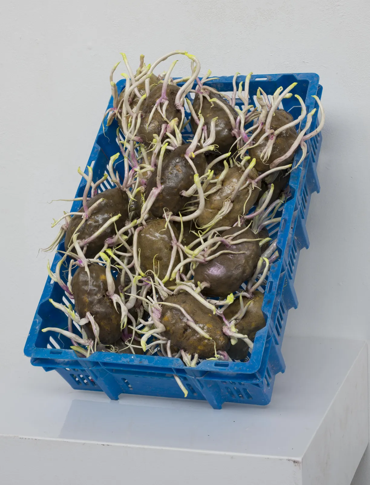 Stefan Gross, EDITIONS - Power plant