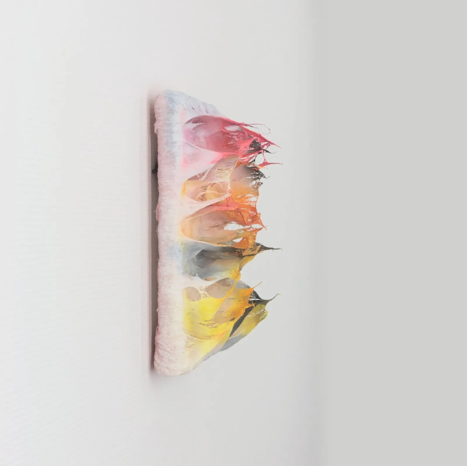 Coen Derickx, Yellow and Pink Number 2.