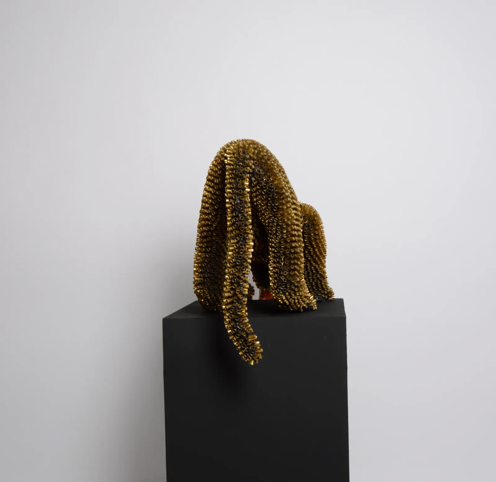 Sebiha Demir, Tiger Tongue