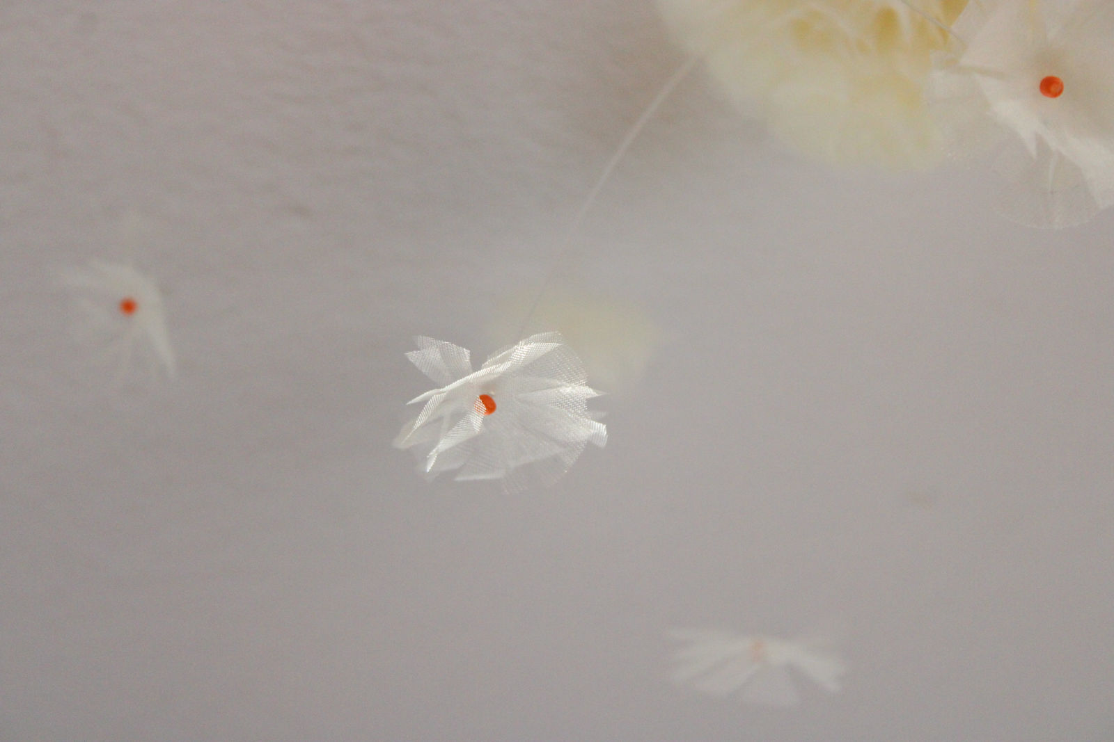 Sofie Aaldering, Early spring pompom