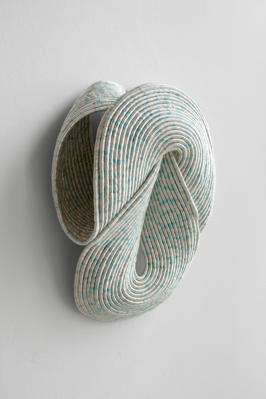 Joana Schneider, Ice Mushroom