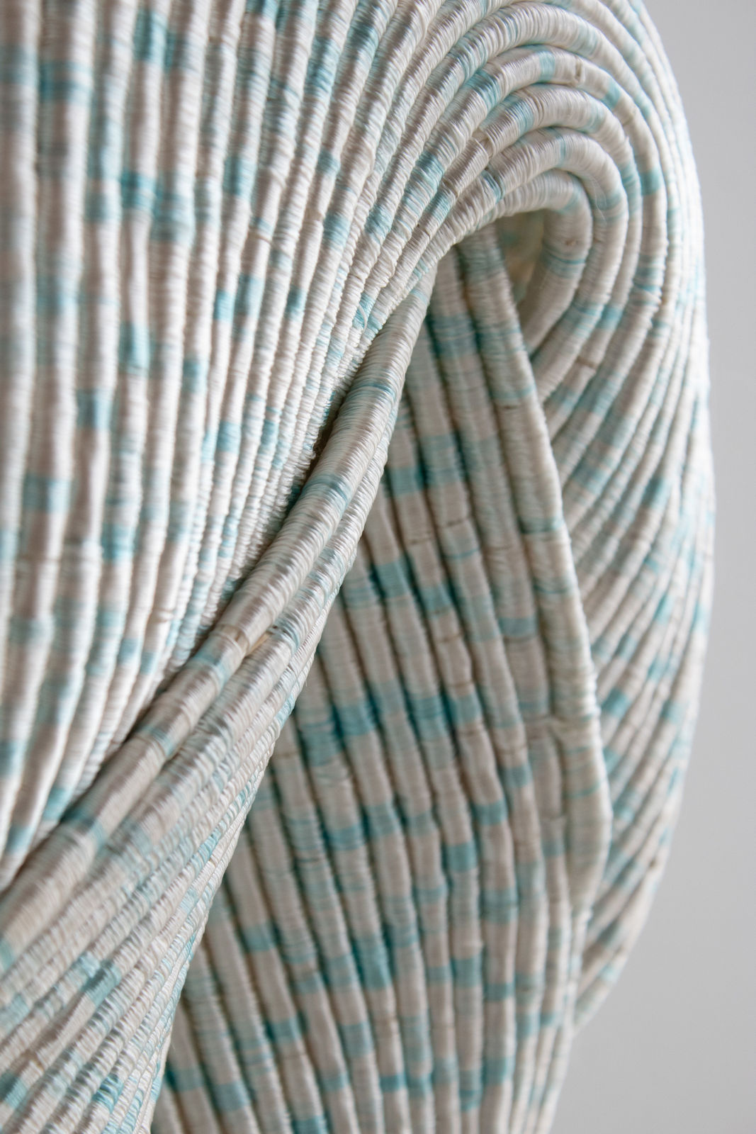 Joana Schneider, Ice Mushroom