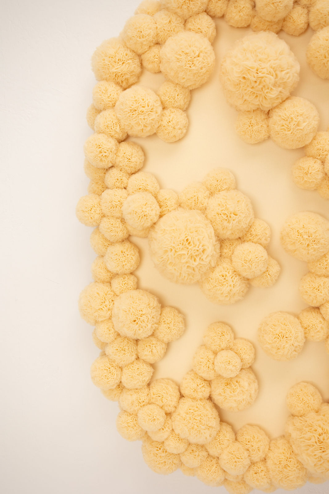 Sofie Aaldering, Sandhills