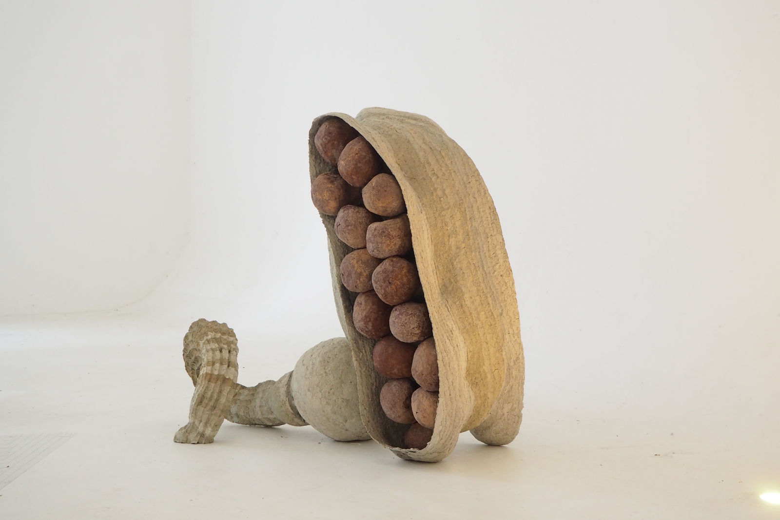 Frits Achten, Legume