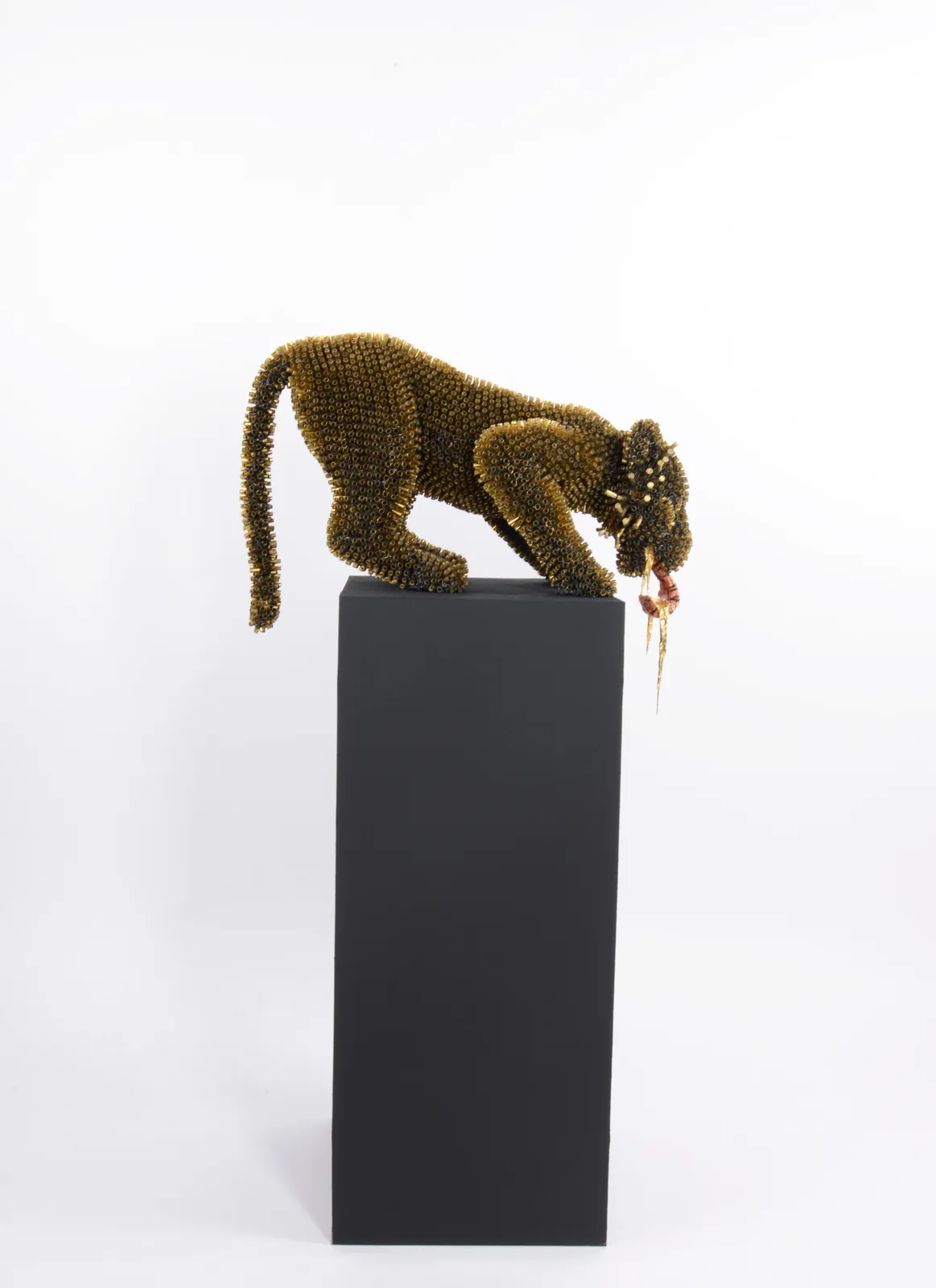 Sebiha Demir, Tiger Tongue