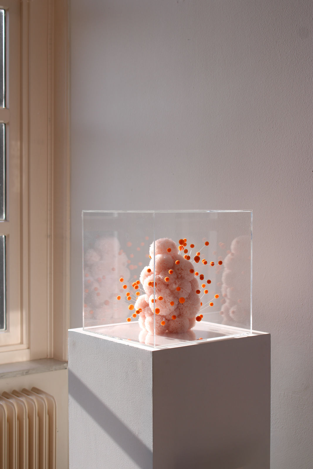 Sofie Aaldering, Blush Cube orange