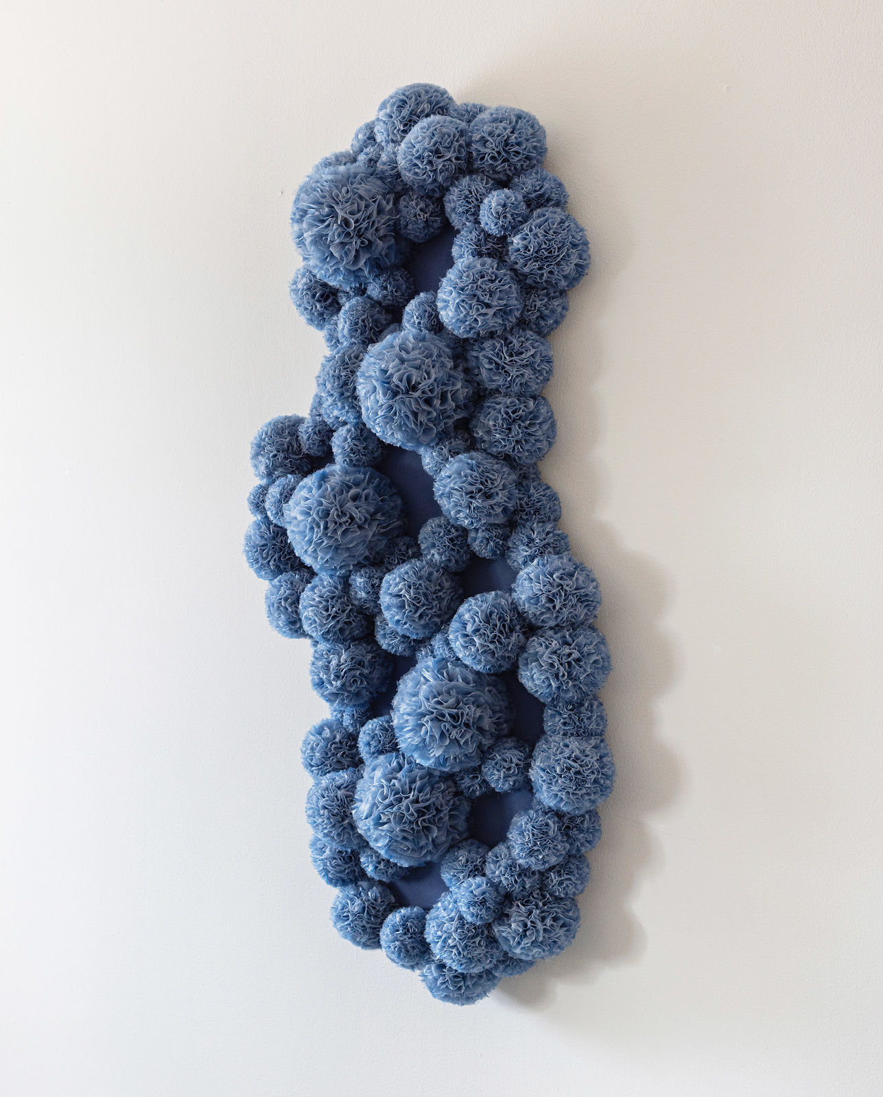 Sofie Aaldering, Bloom of Ice, 2025