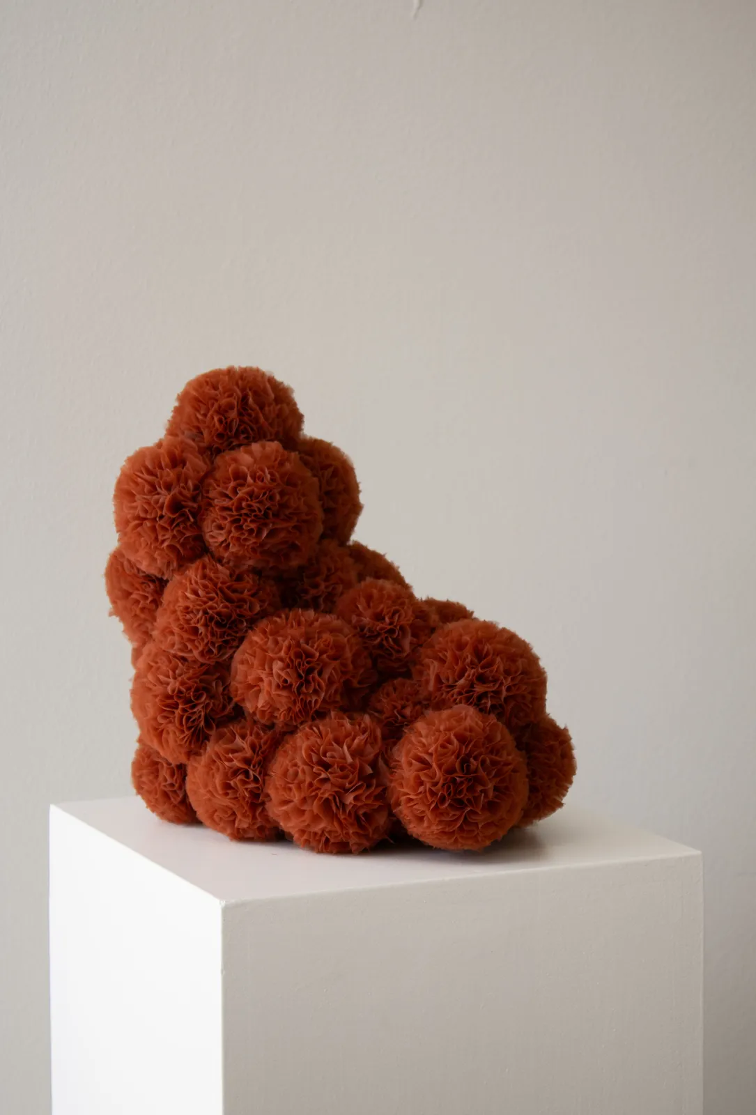 Sofie Aaldering, Pes