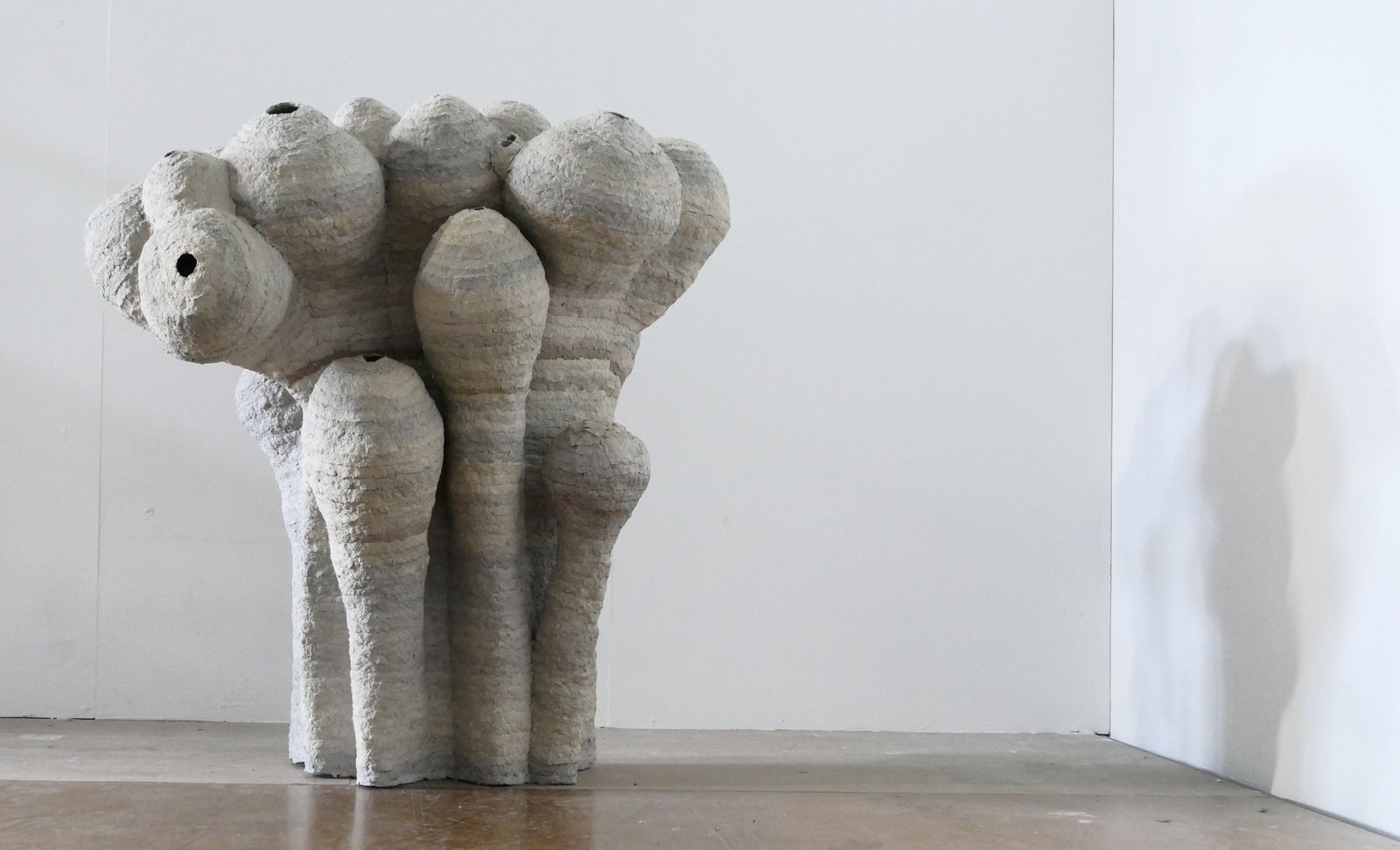 Frits Achten, Polyps