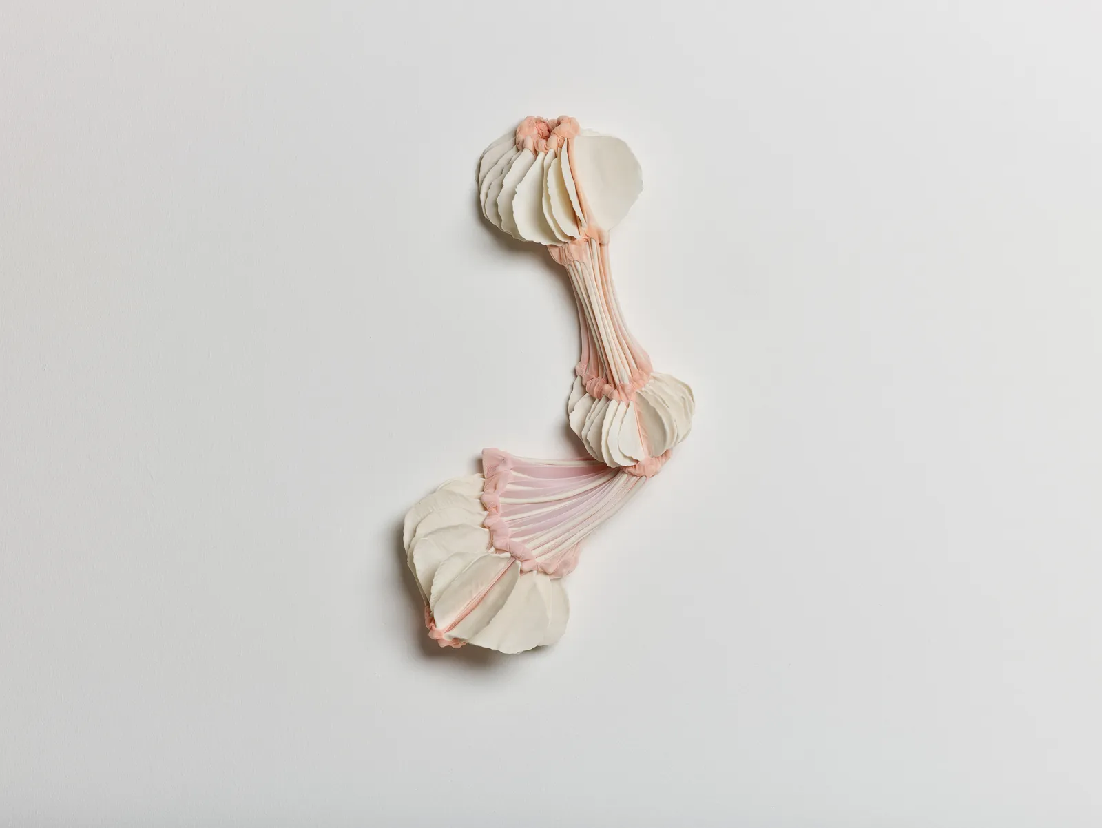 Daniela Bergschneider, Flex V