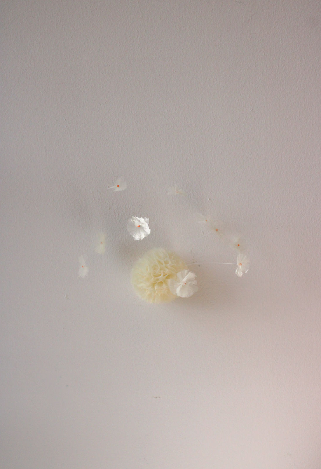 Sofie Aaldering, Early spring pompom