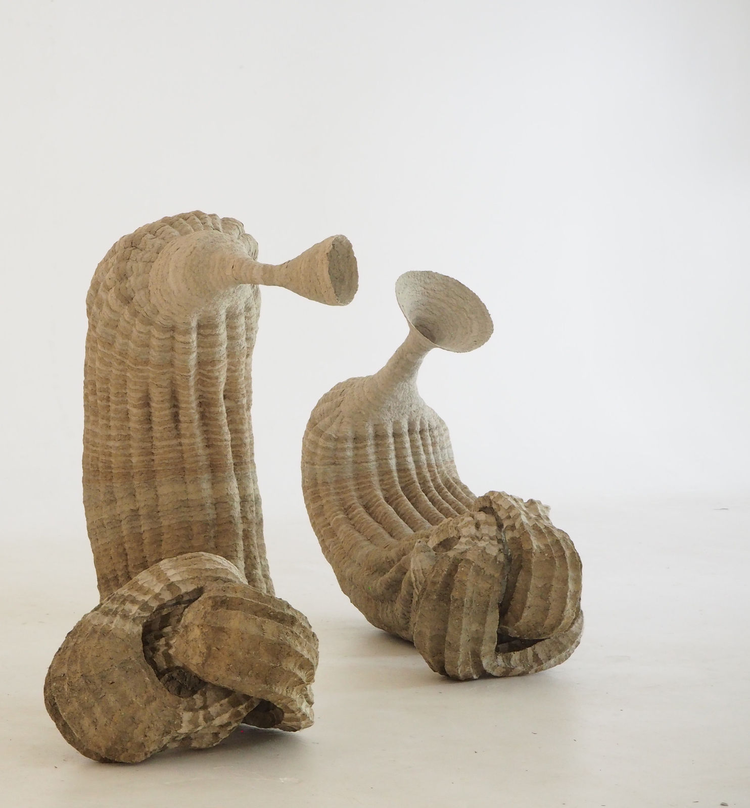 Frits Achten, Larveae 1