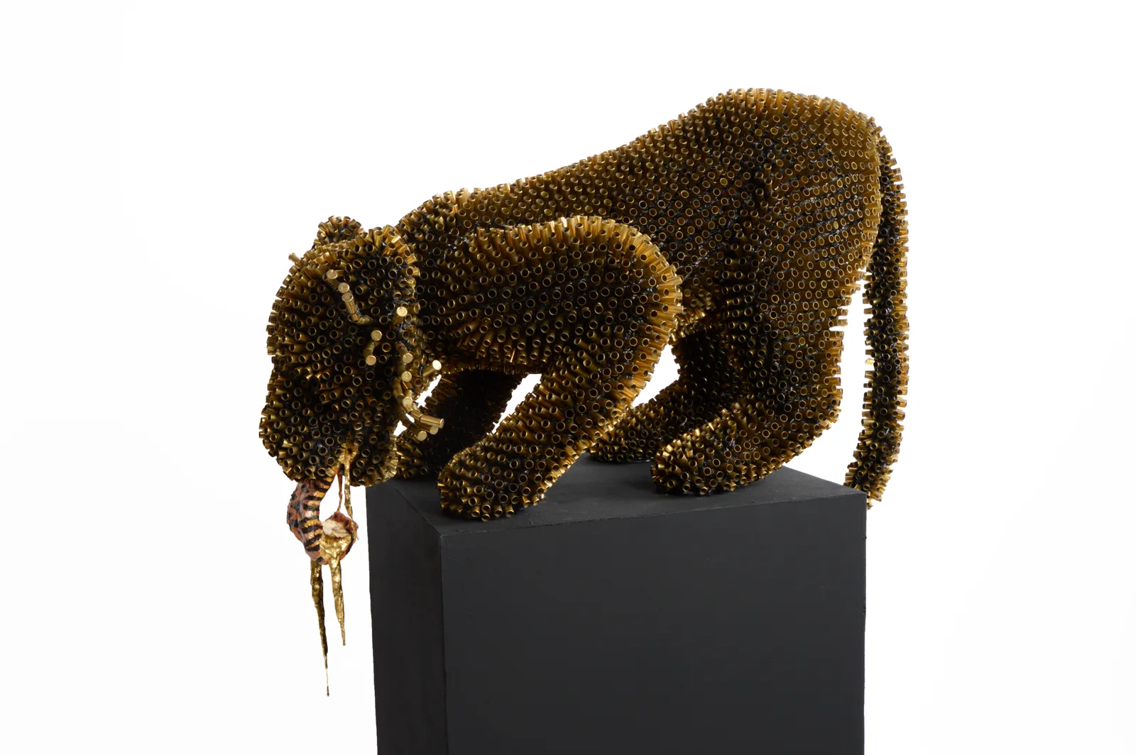 Sebiha Demir, Tiger Tongue