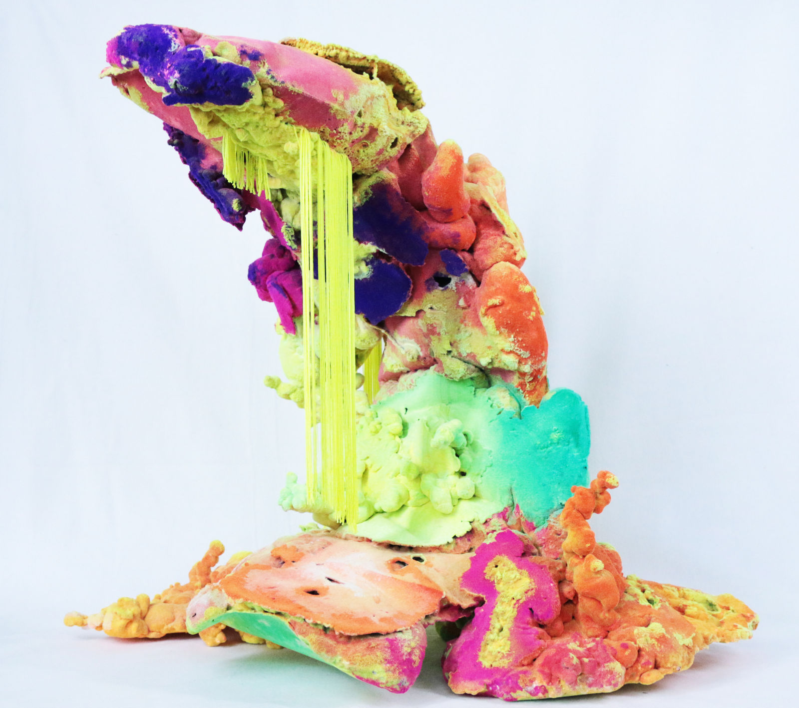 Pedro Matias, Montipora digitata Coralia