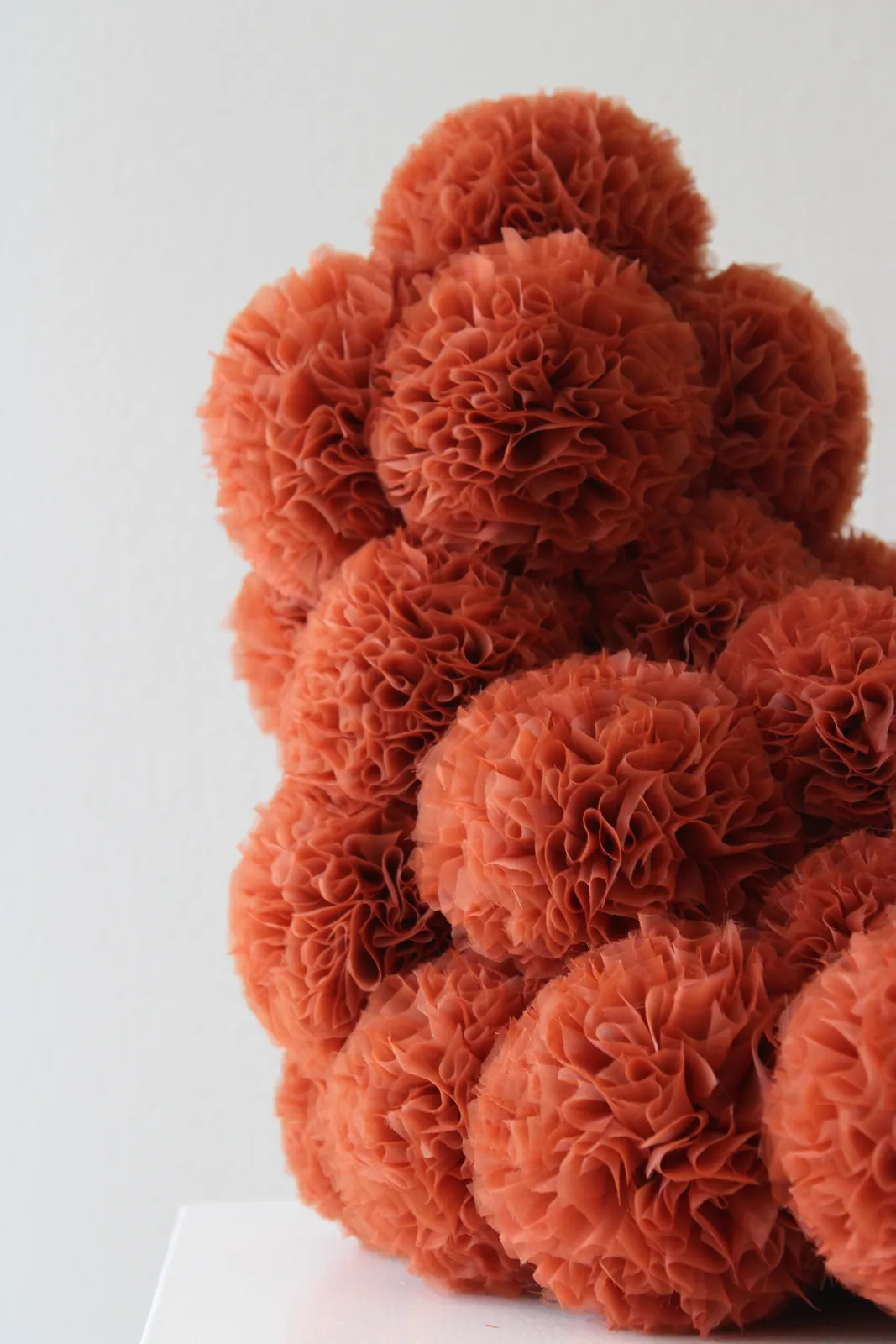 Sofie Aaldering, Pes