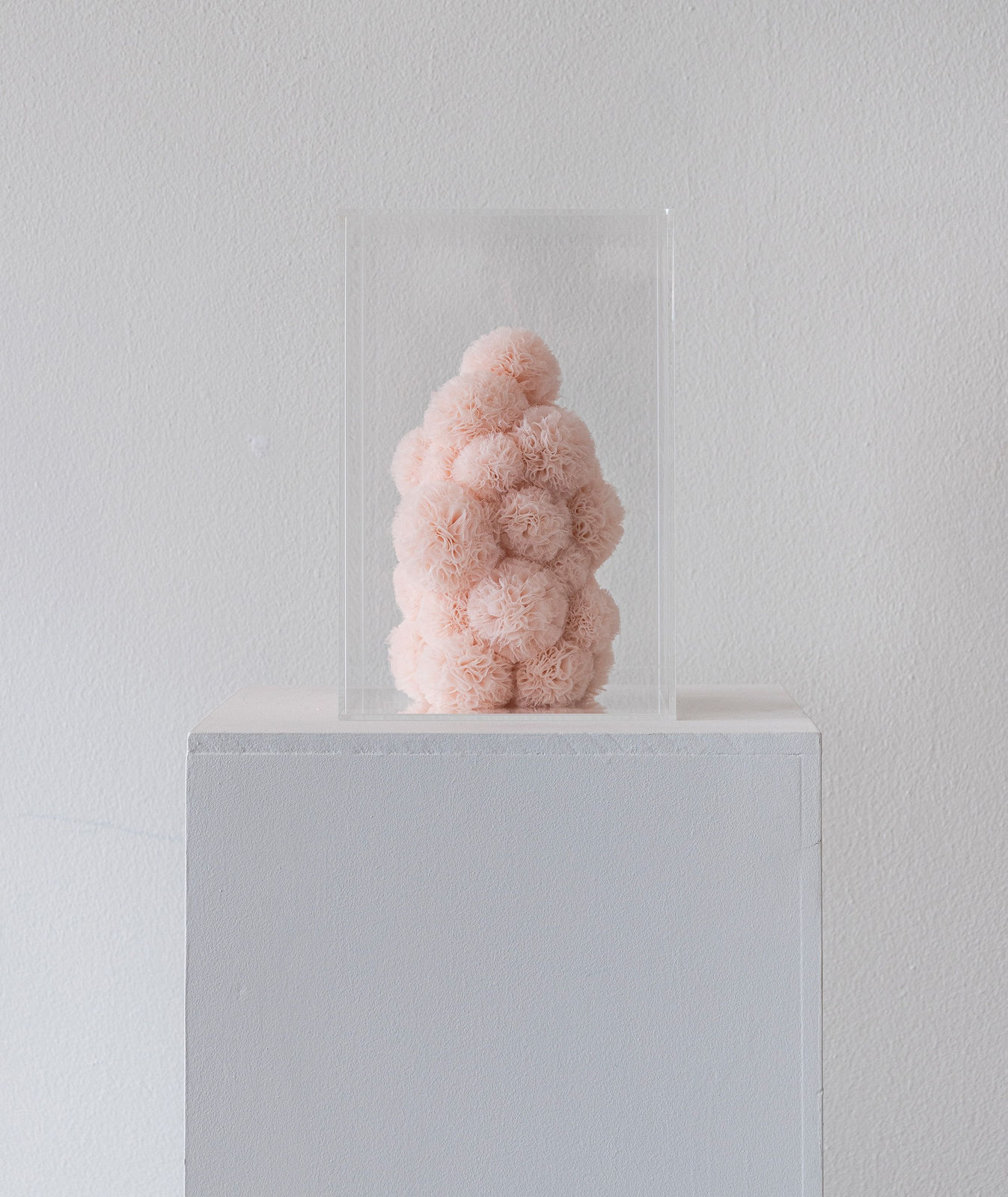Sofie Aaldering, Blush Cube