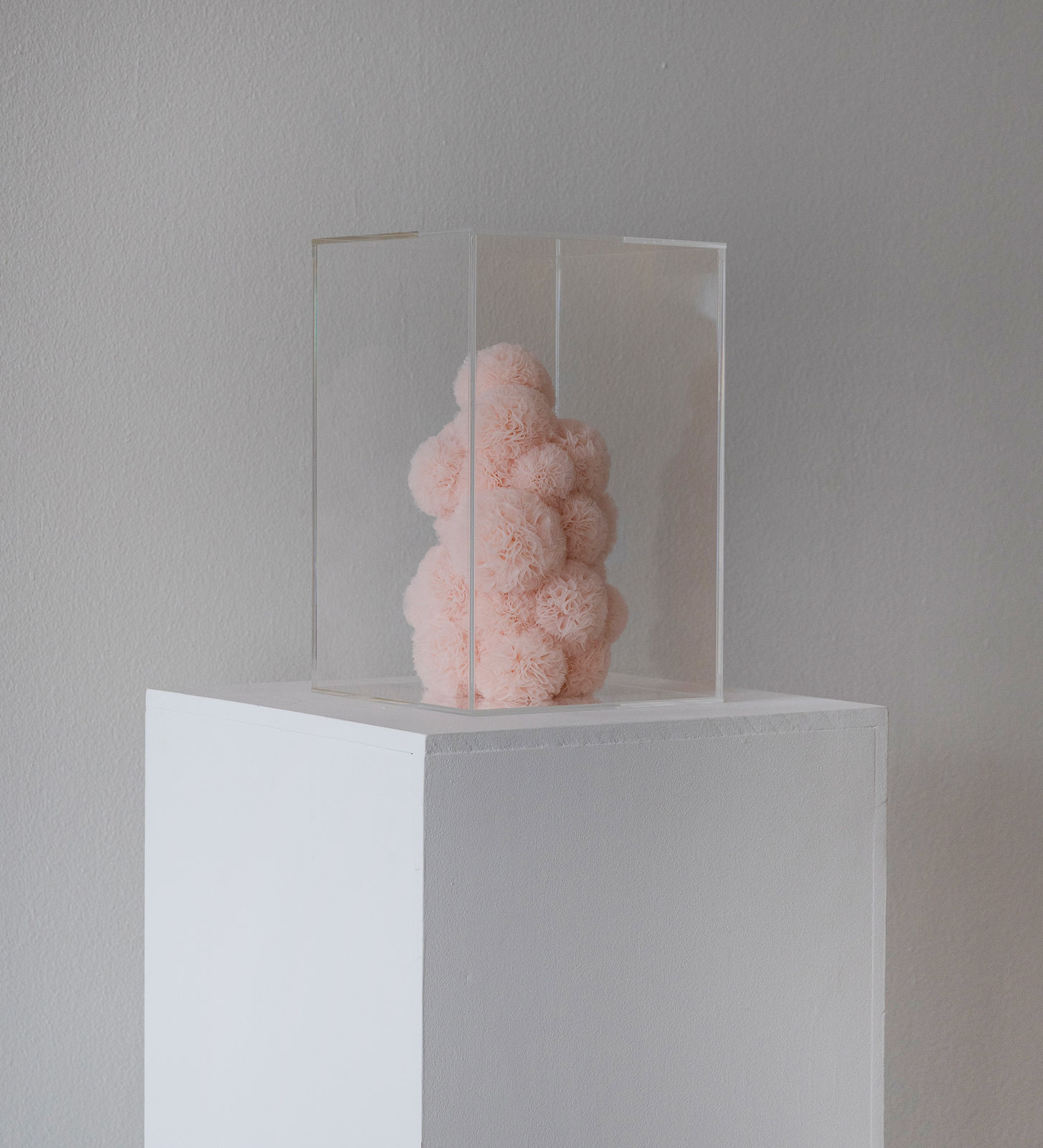 Sofie Aaldering, Blush Cube