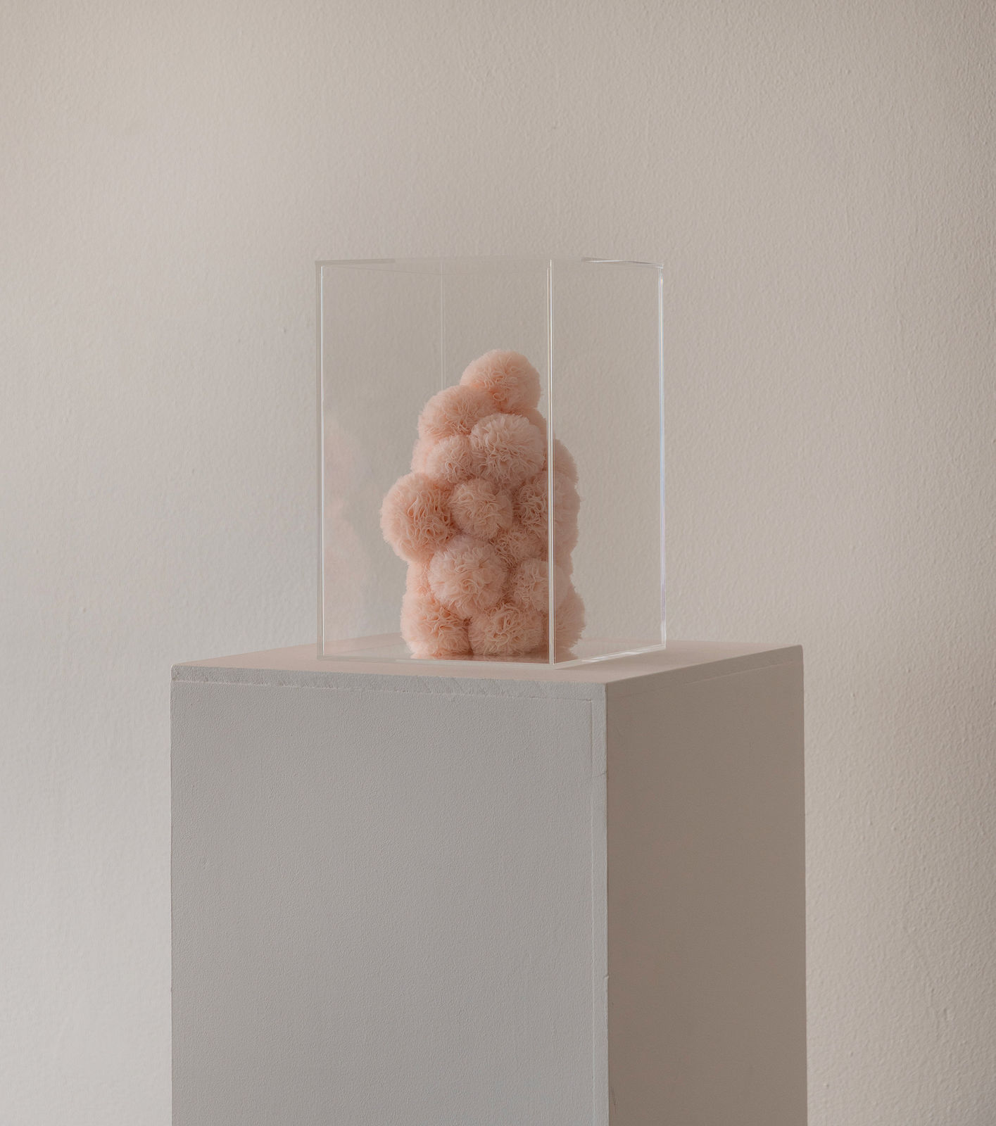 Sofie Aaldering, Blush Cube