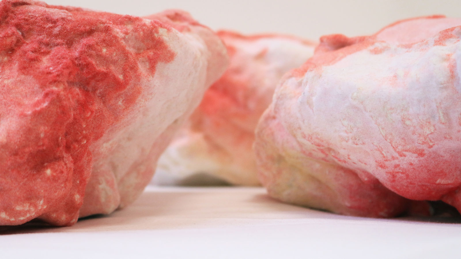 Pedro Matias, Ruby Alcyonacea Callicle II