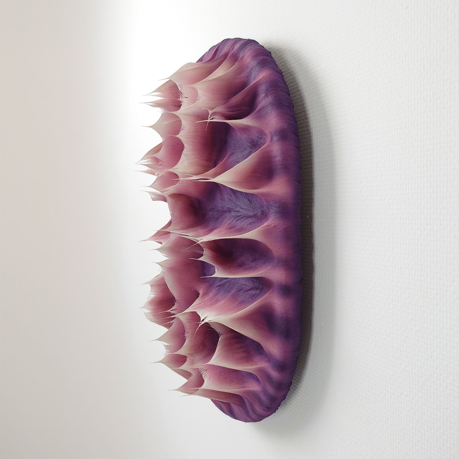 Coen Derickx, Purple and Pink number 5