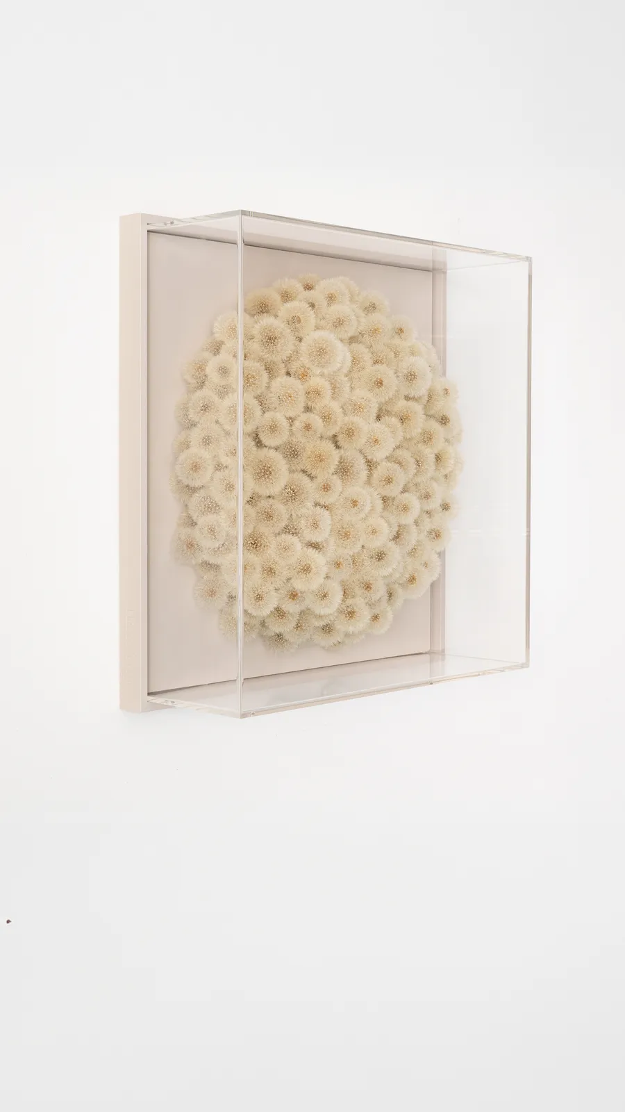 Hilde Trip, Wish full (round)