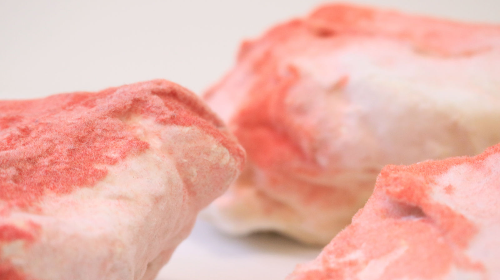 Pedro Matias, Ruby Alcyonacea Callicle II