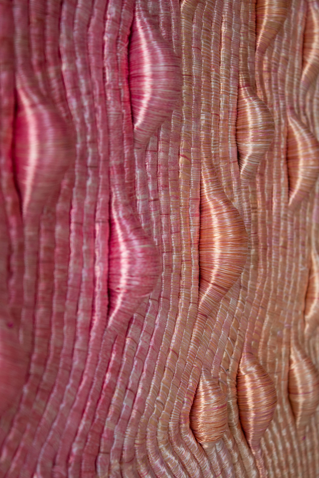 Joana Schneider, Morning Prairies 1