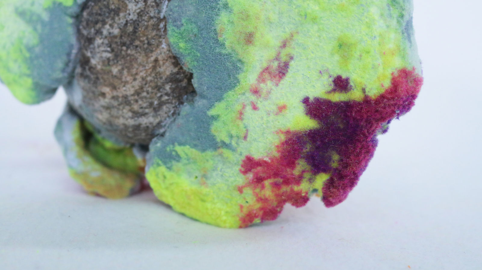 Pedro Matias, Bone Coralia