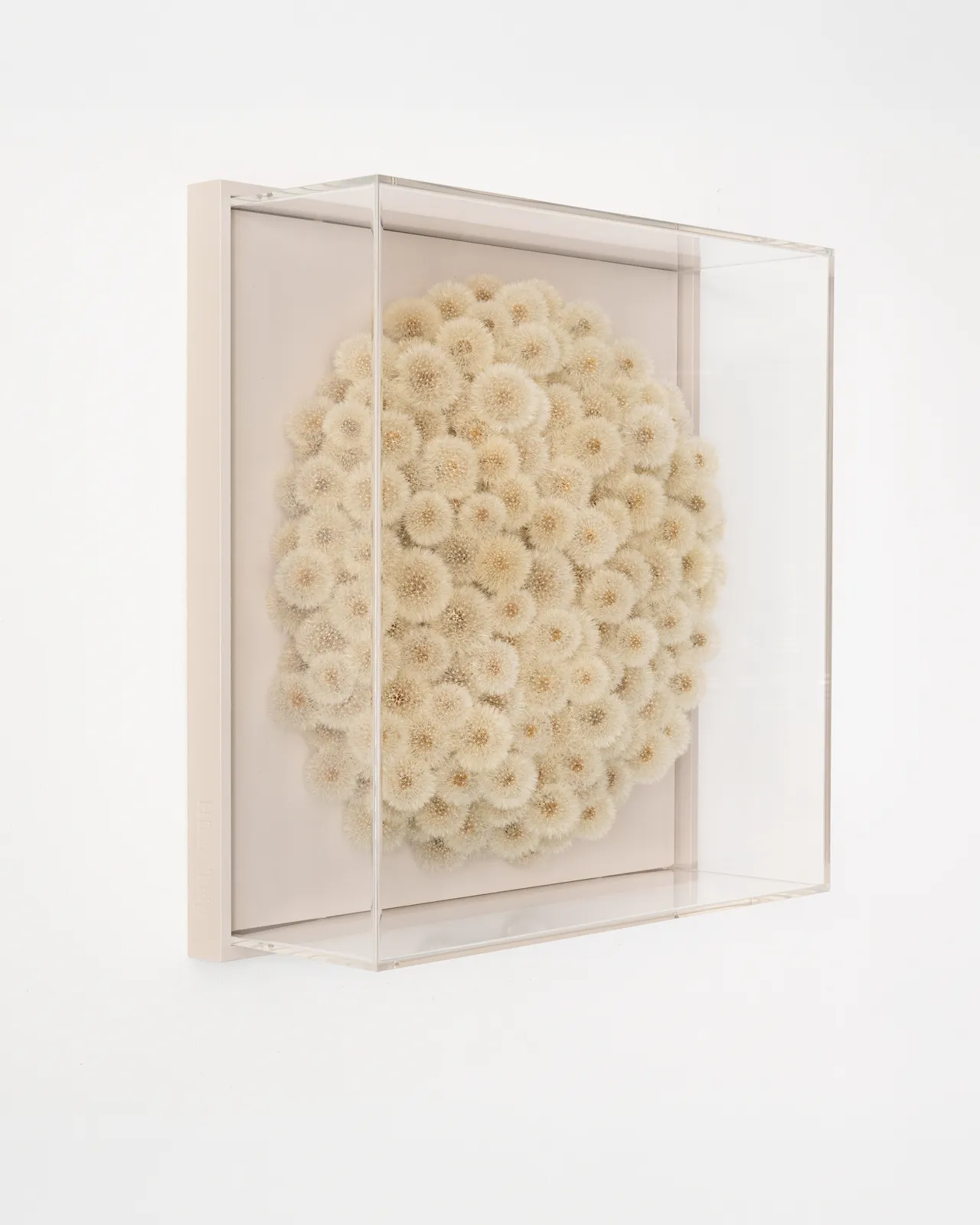 Hilde Trip, Wish full (round)