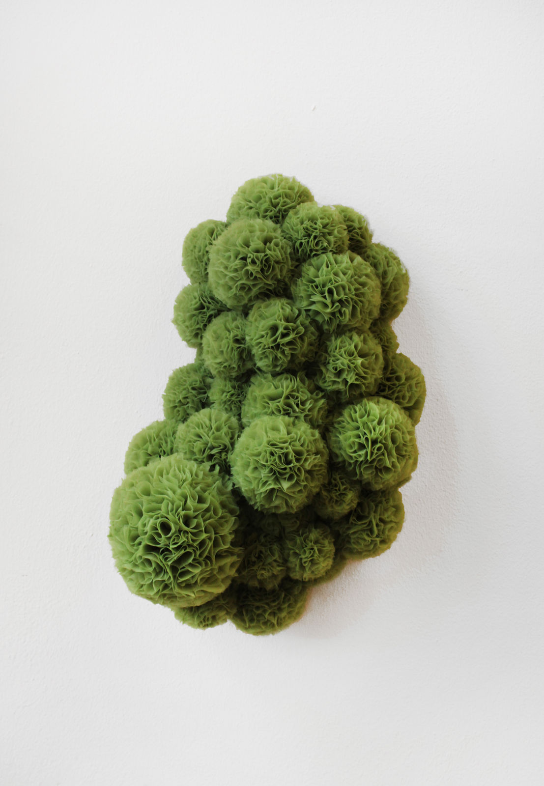 Sofie Aaldering, Spruut