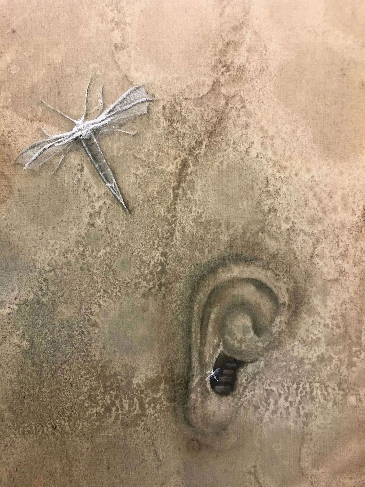 Indra Joachimsthal, From Within and Beyond I: Affection