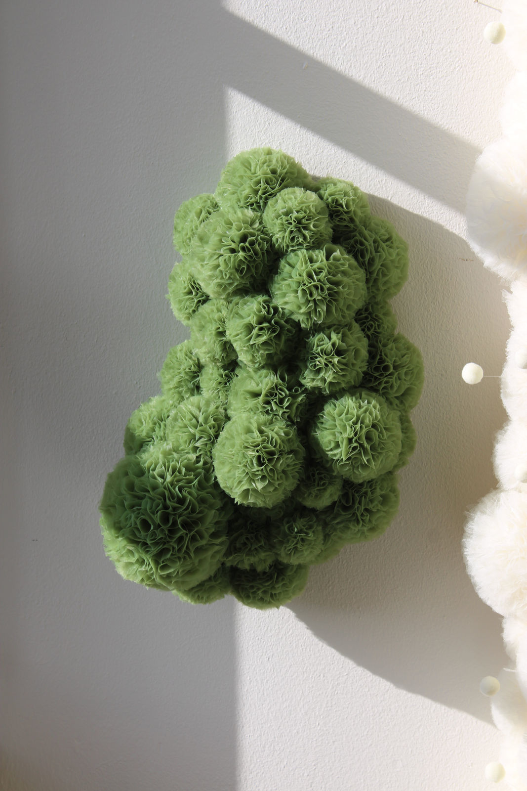 Sofie Aaldering, Spruut