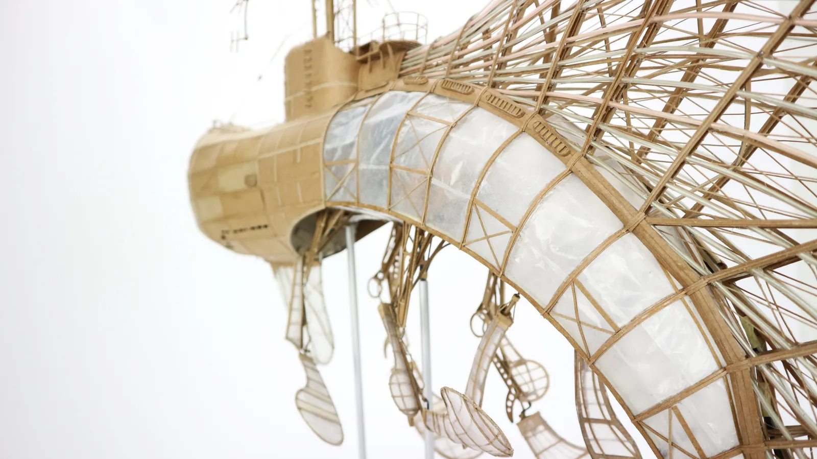 Jeroen van Kesteren, The one that got away