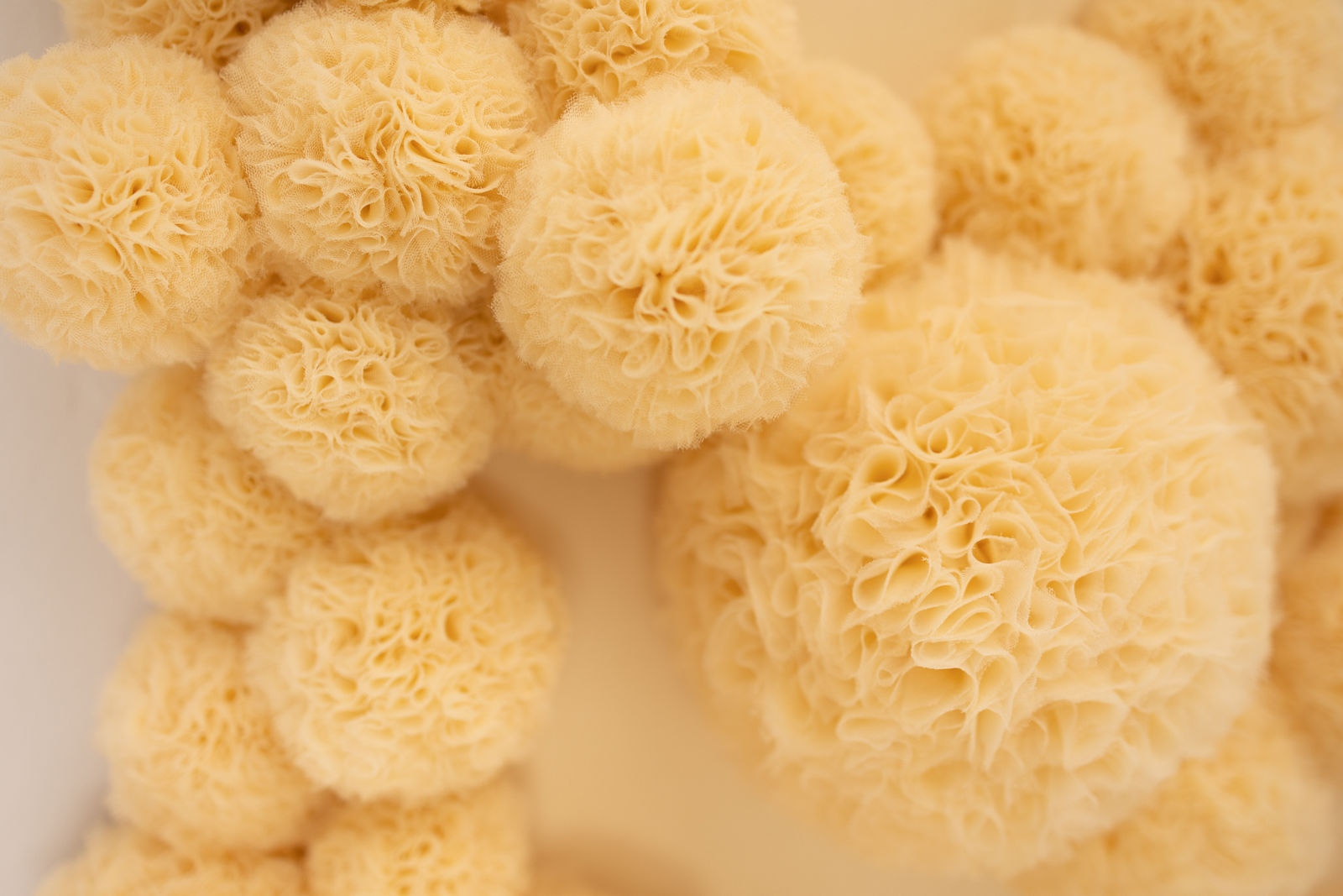 Sofie Aaldering, Sandhills