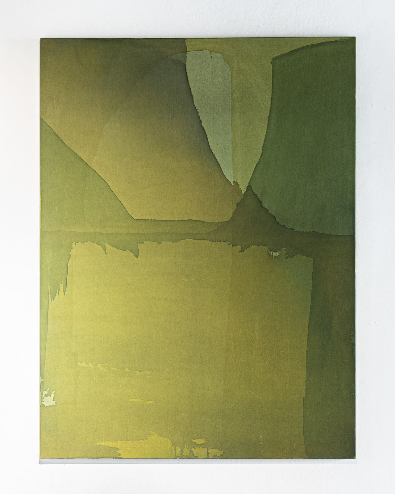 Emma van Amerongen, The Muddied Teeth