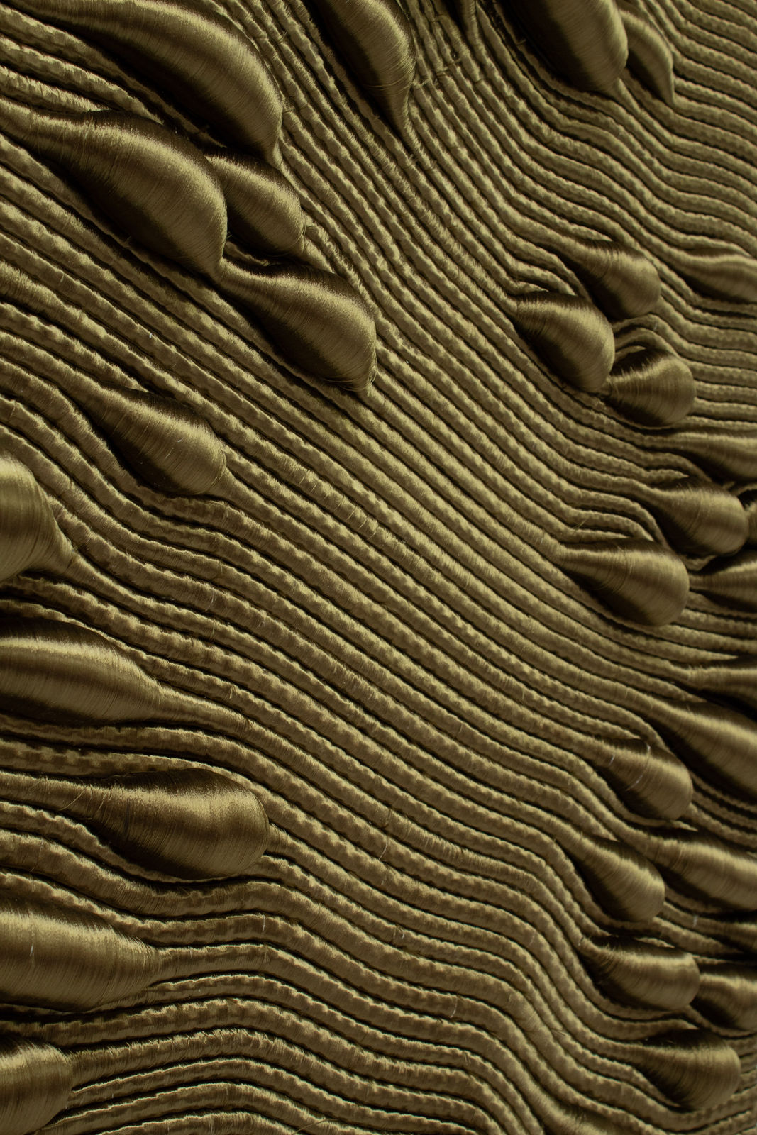 Joana Schneider, Mossy Swamp