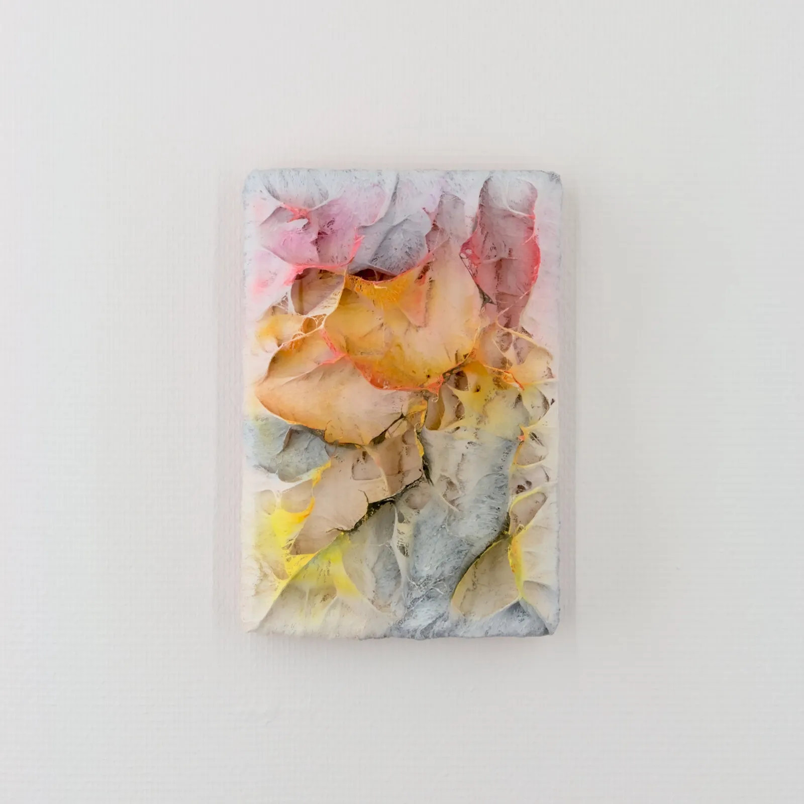 Coen Derickx, Yellow and Pink Number 2.